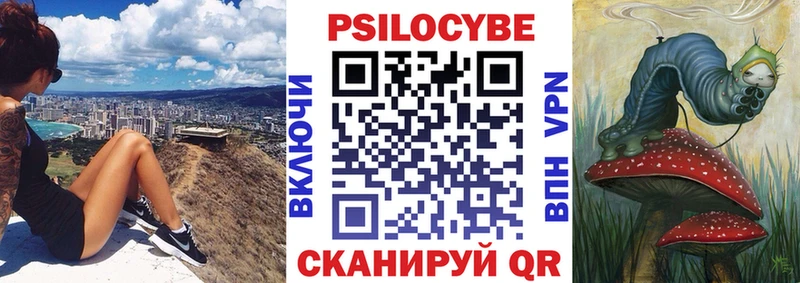 Псилоцибиновые грибы прущие грибы  Балашов 