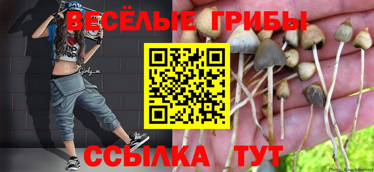 Галлюциногенные грибы Magic Shrooms  Балашов 