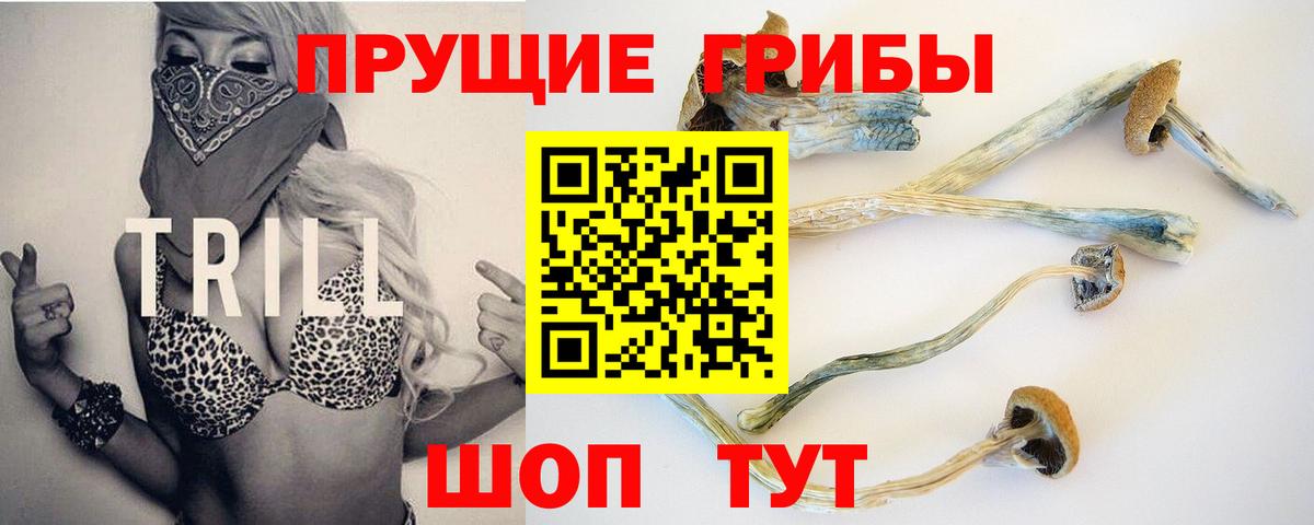 даркнет сайт  Галлюциногенные грибы Magic Shrooms  Вход с VPN  Балашов 