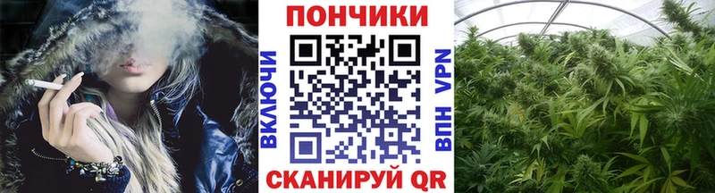 Канабис MAZAR  Балашов 